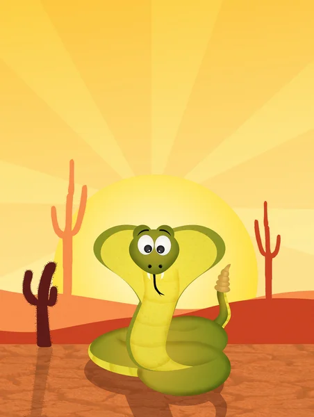 Kobra in der Wüste — Stockfoto