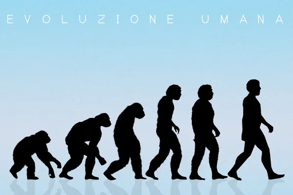 Silueta de evolución humana — Foto de Stock