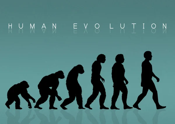 Insan evriminin siluet — Stok fotoğraf