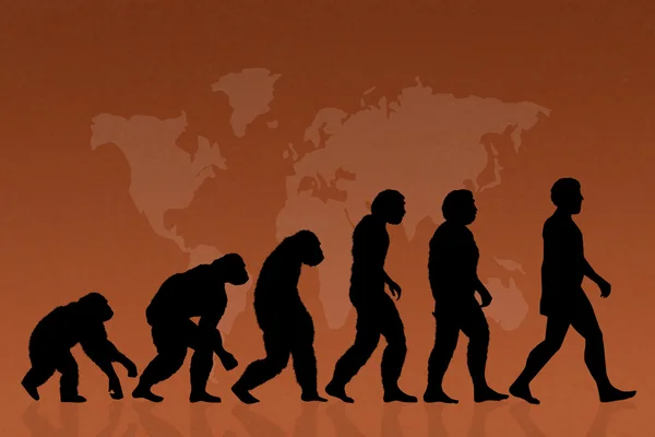Human evolution species — Stock Photo, Image