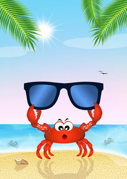 Crab with sunglasses — Stock Photo, Image