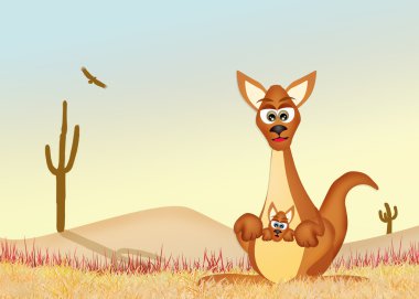 Çölde Avustralya kanguru