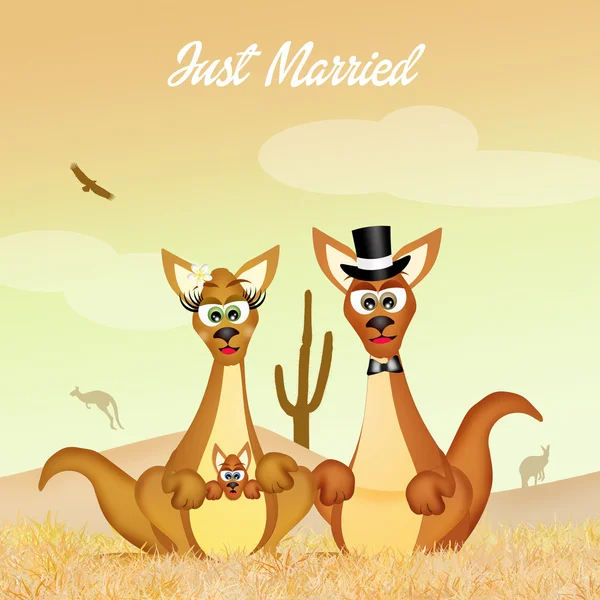 Marriage of kangaroos — Stock Photo, Image