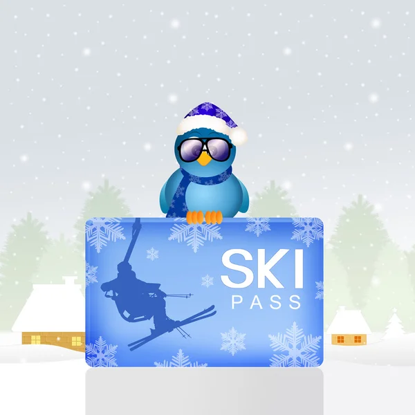 Bird with skipass — Stock Photo, Image