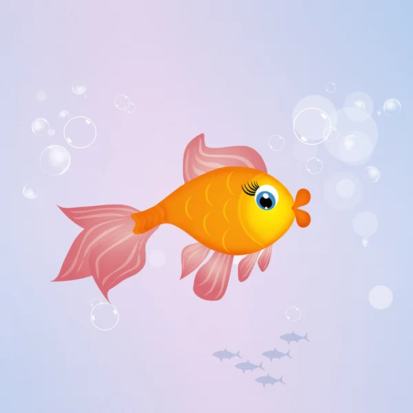 red fish in the ocean