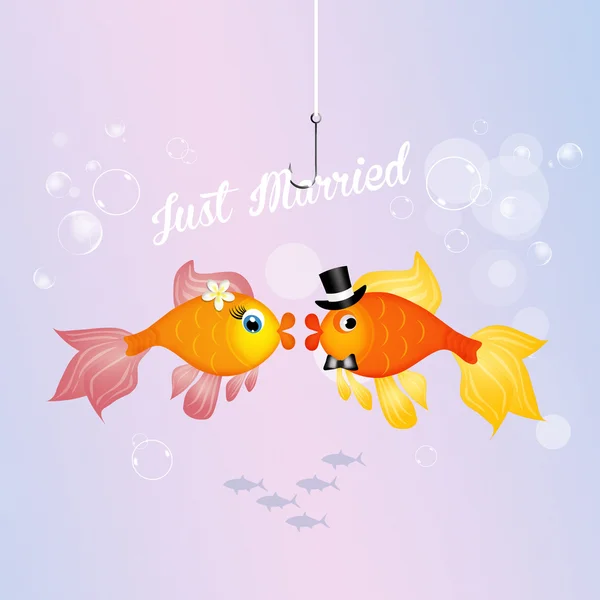 Manželé červené ryby — Stock fotografie
