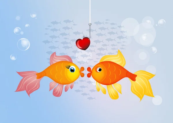 Rote Fische verliebt — Stockfoto