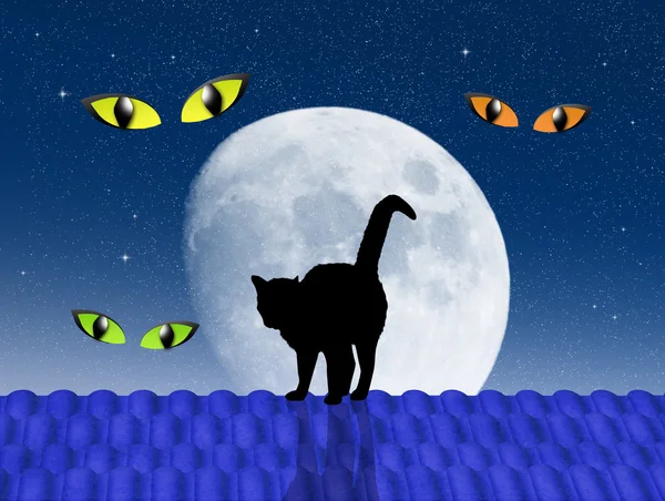 Halloween macska a tetőn — Stock Fotó