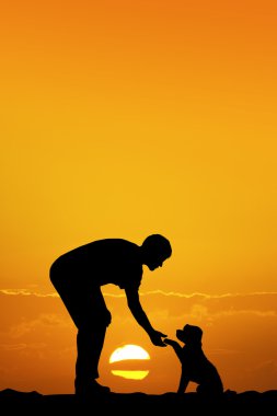 gün batımında köpek yavrusu olan adam