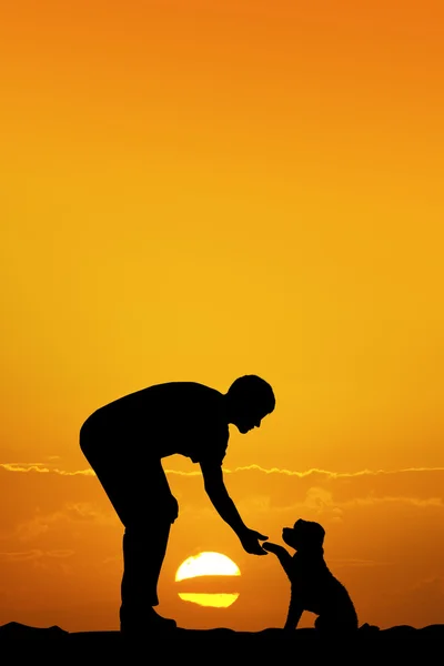 Homem com filhote de cachorro ao pôr do sol — Fotografia de Stock