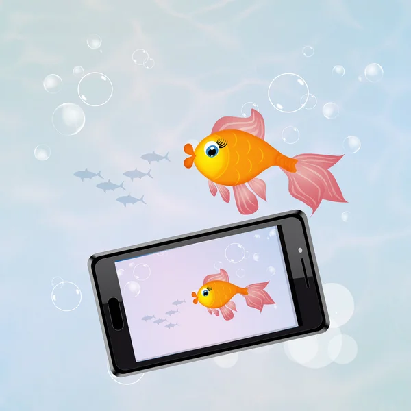 Smartphone resistente à água — Fotografia de Stock