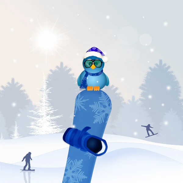 Snowboard in winter — Stock Photo, Image