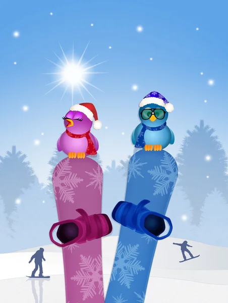 Birds on snowboard in winter — Stock Photo, Image