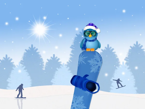 Funny bird on snowboard — Stock Photo, Image