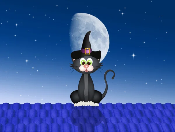 Halloween gato en el techo — Foto de Stock