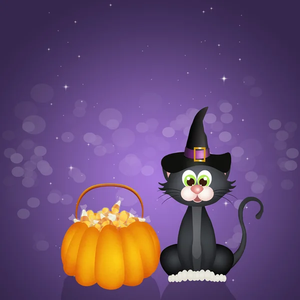 Gatto nero con caramelle di Halloween — Foto Stock