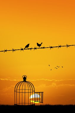 tel üzerinde özgür kuşlar