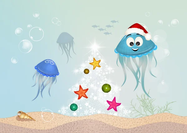 Jellyfish celebrates Christmas