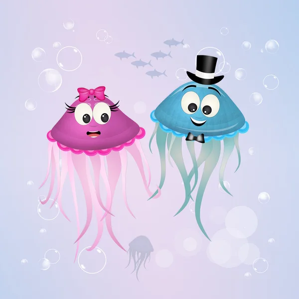 Wedding of jellyfish — Stock Photo, Image