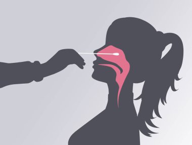 Virüs testi için örnek örnekleme