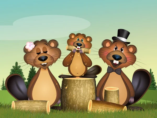 Illustration Drôle Famille Des Marmottes — Photo