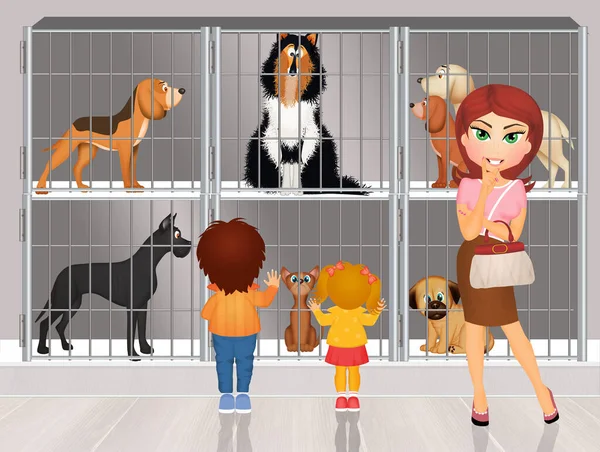 Παιδιά Διαλέγουν Σκύλο Στο Κυνοτροφείο Royalty Free Εικόνες Αρχείου