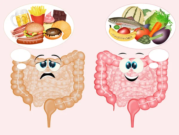 Illustration Skadliga Livsmedel Och Hälsosamma Livsmedel För Tarmen — Stockfoto