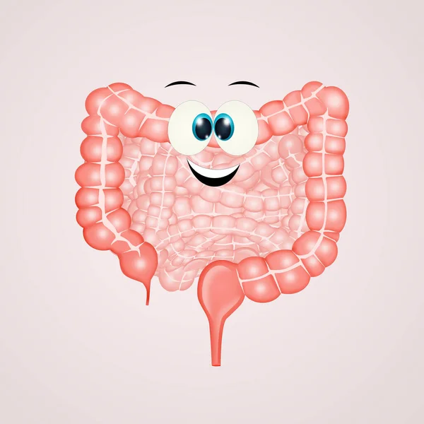 Ilustración Caricatura Del Intestino Con Cara Divertida — Foto de Stock