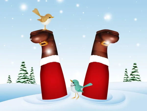 Ilustrace Ptáků Nohou Santa Clause Sněhu — Stock fotografie