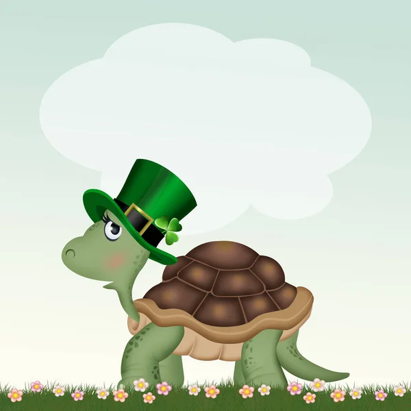 Schildpad Viert Patrick Day — Stockfoto