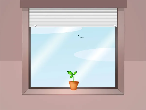 Απεικόνιση Του Φυτού Στο Παράθυρο — Φωτογραφία Αρχείου