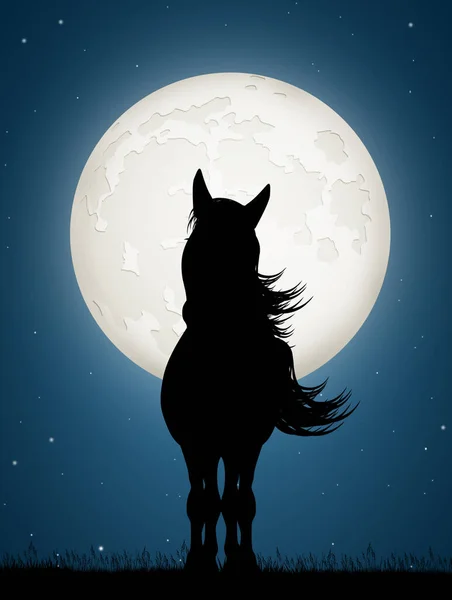 Illustration Von Pferdesilhoutte Mondschein — Stockfoto