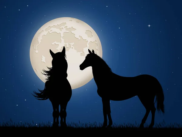 Two Horses Moonlight — Stock Photo, Image