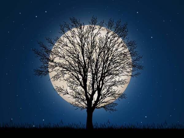 Illustration of tree in the moonlight