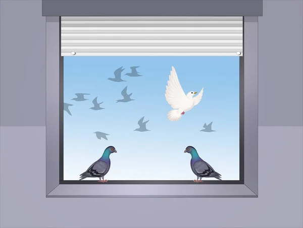 Illustration Pigeons Window — Stock Photo, Image