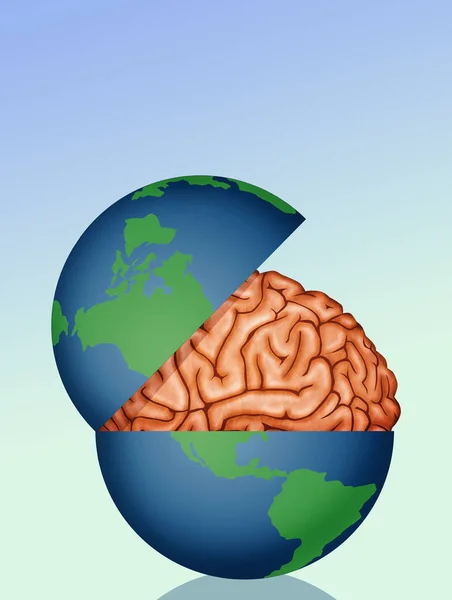 世界中の脳のイラストは — ストック写真