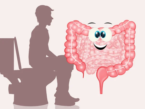 Illustrazione Dell Importanza Intestino Sano Evacuazione — Foto Stock