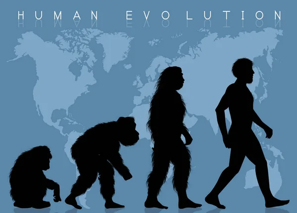 Illustration Der Menschlichen Evolution — Stockfoto