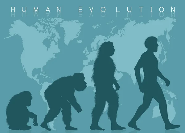 Illustration Der Menschlichen Evolution — Stockfoto