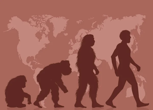 Illustration Der Menschlichen Evolution — Stockfoto