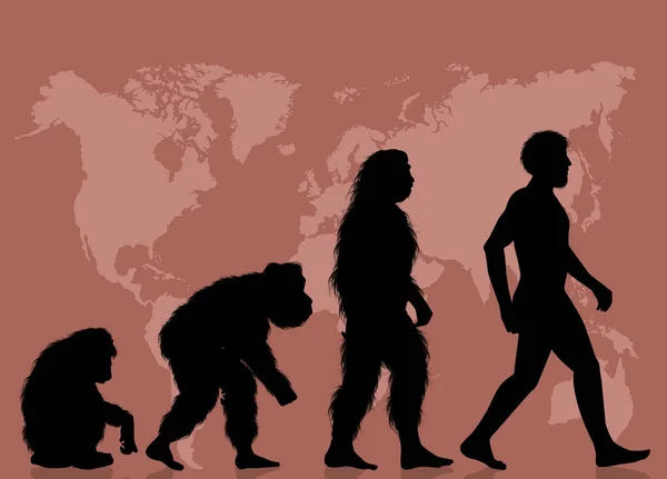 Illustration Evolution Human — Stock Photo, Image