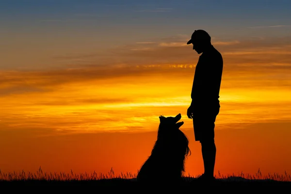 Illustratie Van Hond Mens Bij Zonsondergang — Stockfoto