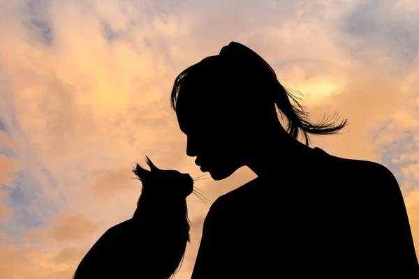 Silhouette Girl Gives Kiss Cat — Stock Photo, Image