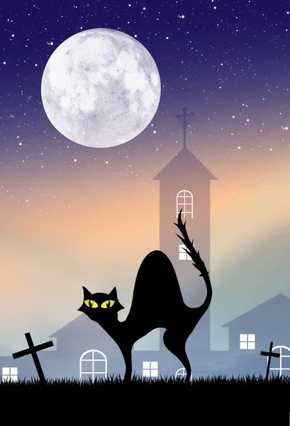 Zwarte kat voor halloween — Stockfoto