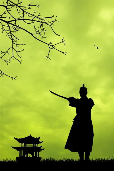 Ninja samouraï au coucher du soleil — Photo