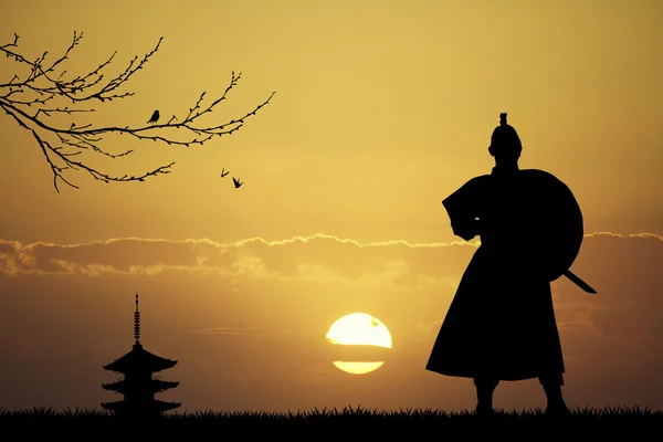 Samurai ninja — Foto Stock