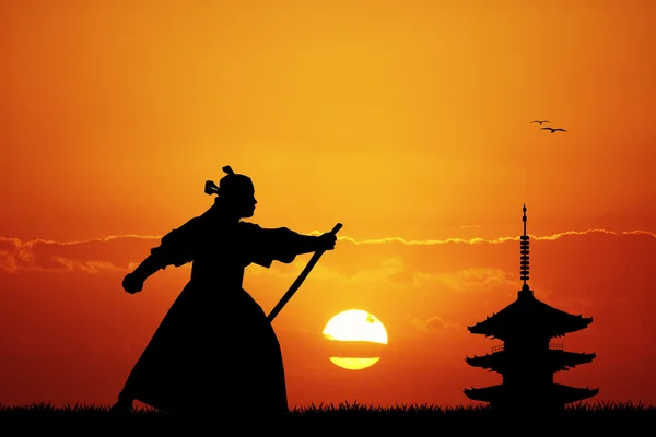 Ninja samouraï au coucher du soleil — Photo