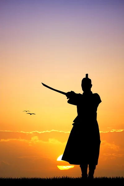 Samuray — Stok fotoğraf