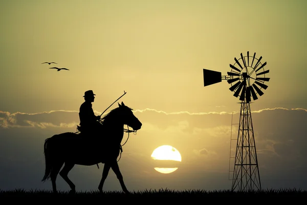 Pferd bei Sonnenuntergang — Stockfoto