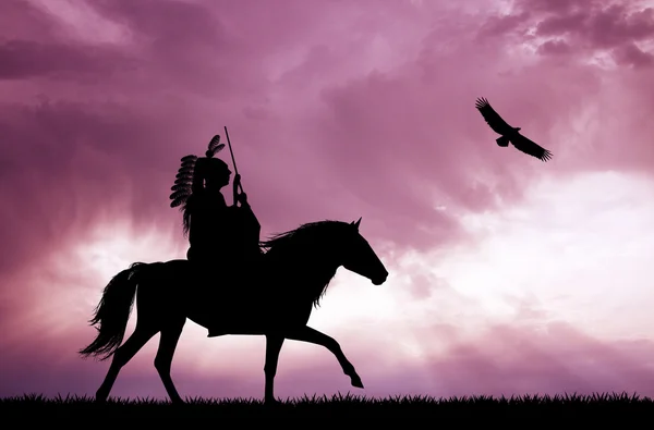 Indyjski koń Manon o zachodzie słońca — Zdjęcie stockowe